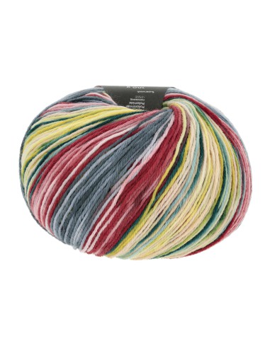 Wooladdicts Move van Lang Yarns heerlijk zacht sokkengaren van  merino| het Lemster Wolhus heeft ze op voorraad!