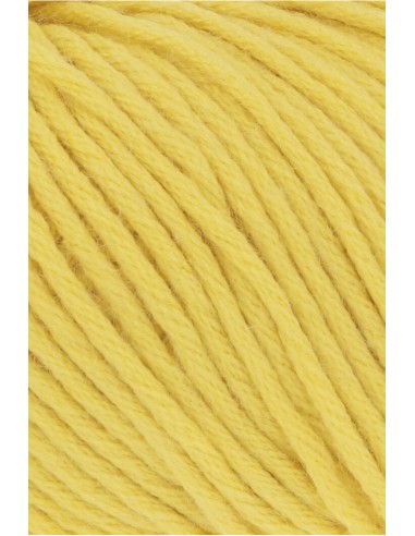 Lang Yarns Omega Plus, prachtige kleuren voor ontelbare projecten|Het Lemster Wolhus heeft ze op voorraad!