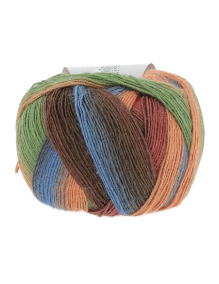 Jawoll Magic Dégradé 0027 Multicolor zalm