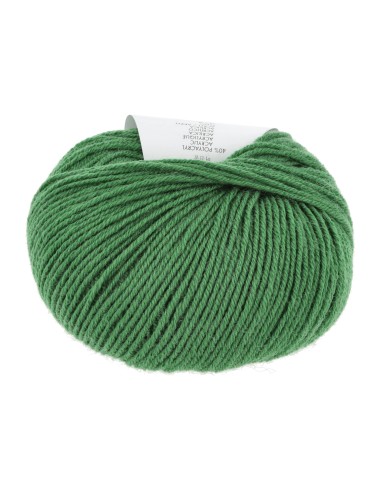 Lang Yarns Atlantis 117 gras groen | het Lemster Wolhus heeft ze op voorraad!