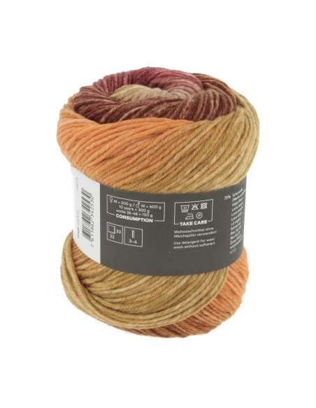 Wooladdicts Move 6 ply by Lang Yarns 0002
