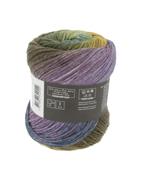Wooladdicts Move 6 ply by Lang Yarns 0003