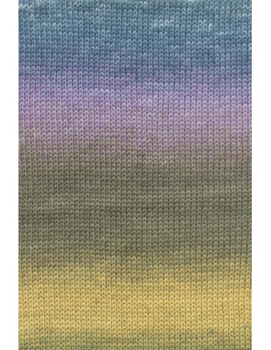 Wooladdicts Move 6 ply by Lang Yarns 0003