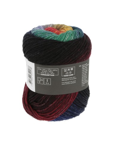 Wooladdicts Move 6 ply by Lang Yarns 0004