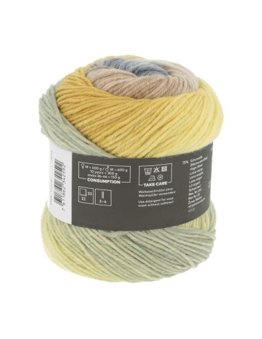 Wooladdicts Move 6 ply by Lang Yarns 0005