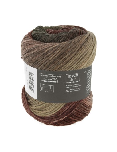 Wooladdicts Move 6 ply by Lang Yarns 0006