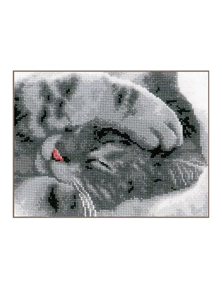 DIY borduurpakket schattige kitten (PN-0165499)