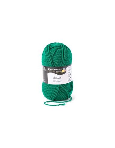 Schachenmayr Bravo 8349 Groen