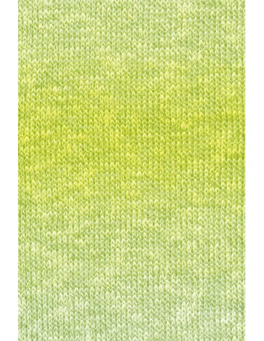 Lang Yarns Linello 213 ton sur ton geel