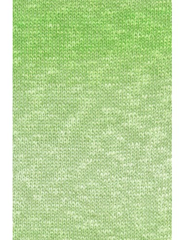 Lang Yarns Linello 216 ton sur ton groen
