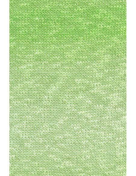 Lang Yarns Linello 216 ton sur ton groen