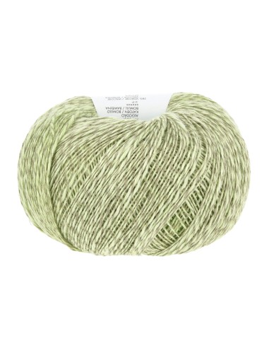 Lang Yarns Linello 216 ton sur ton groen