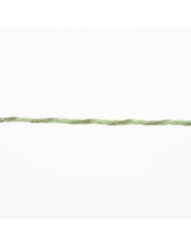 Lang Yarns Linello 216 ton sur ton groen