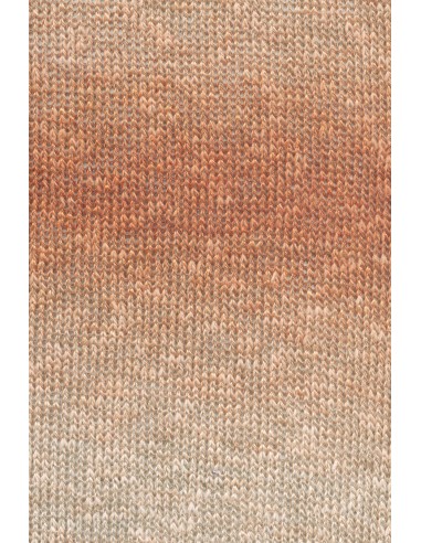 Lang Yarns Linello 259 ton sur ton koper