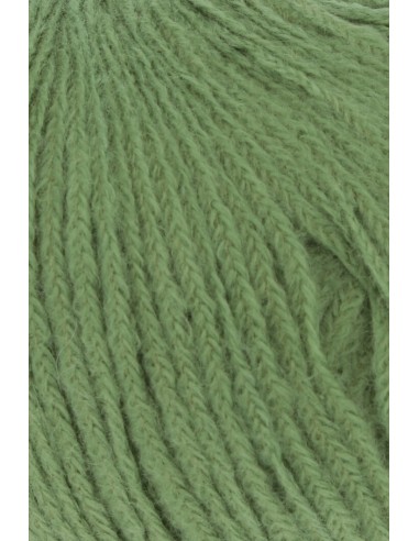 Lang Yarns Wooladdicts Bliss 0017