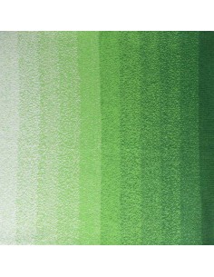Cotton Whirl 709 Lettuce Party 2