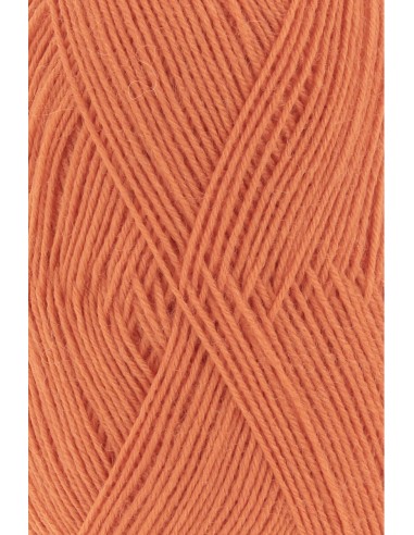 SuperSoxx 4 ply 0059