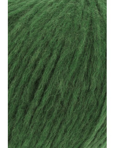 Lang Yarns Promise 0016 Avocado