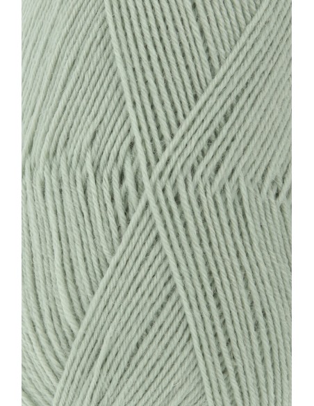 SuperSoxx 4 ply 0092 Salie