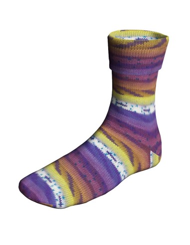 Supersoxx Cakesoxx 543 Birthdaycake