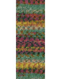 Gomitolo Selezione 3005 jade,oranje,donker groen, framboos,geel, grijs groen, licht grijs 2