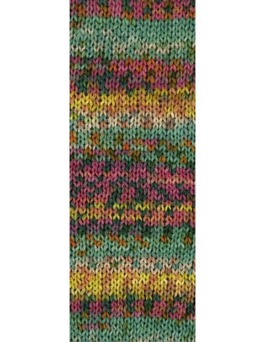 Gomitolo Selezione 3005 jade,oranje,donker groen, framboos,geel, grijs groen, licht grijs