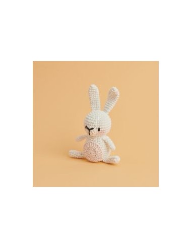 Ricorumi Mini Easy Crochet Kit Konijn