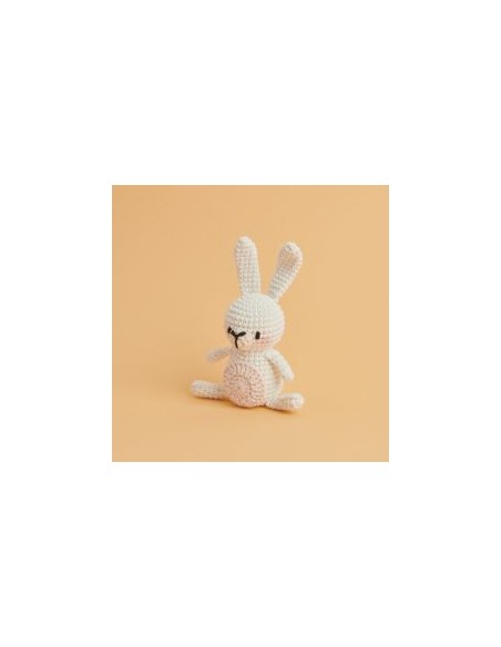 Ricorumi Mini Easy Crochet Kit Konijn