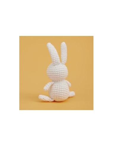 Ricorumi Mini Easy Crochet Kit Konijn