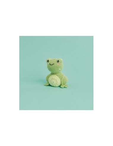 Ricorumi Mini Easy Crochet Kit Kikker