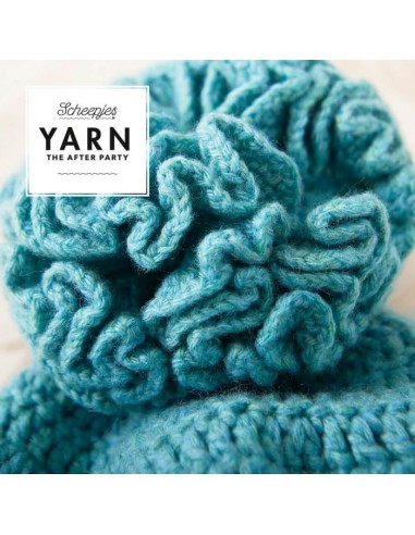 Scheepjes yarn after party 78 Hyperbolic puff beanie