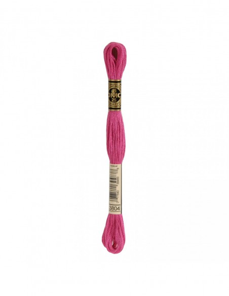 117MC-3804 DMC Mouliné Spécial