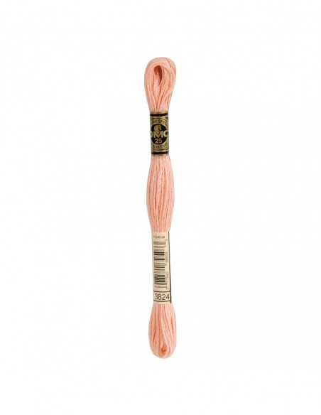 117MC-3824 DMC Mouliné Spécial