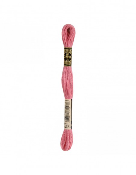 117MC-3833 DMC Mouliné Spécial