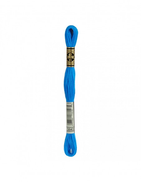 117MC-3843 DMC Mouliné Spécial