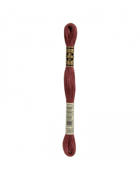 117MC-3858 DMC Mouliné Spécial