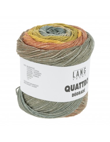 Alle kleuren quatro dégradé| Het Lemsterwolhus heeft ze op voorraad