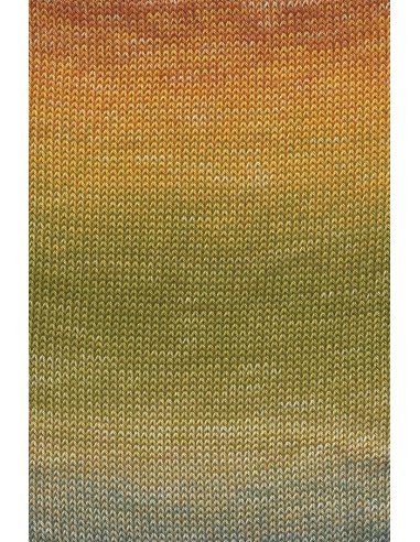 Alle kleuren quatro dégradé| Het Lemsterwolhus heeft ze op voorraad