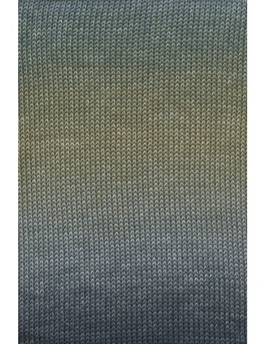 Alle kleuren quatro dégradé| Het Lemsterwolhus heeft ze op voorraad