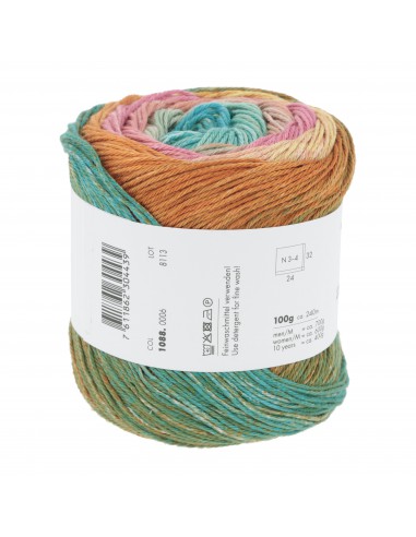 Alle kleuren quatro dégradé| Het Lemsterwolhus heeft ze op voorraad