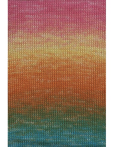 Alle kleuren quatro dégradé| Het Lemsterwolhus heeft ze op voorraad