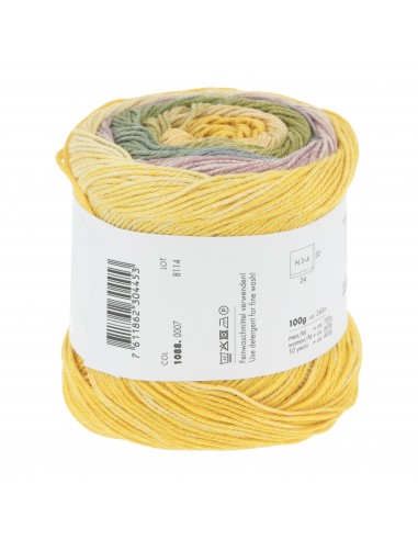 Alle kleuren quatro dégradé| Het Lemsterwolhus heeft ze op voorraad