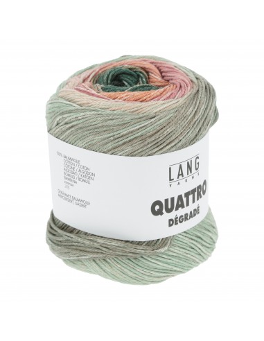 Alle kleuren quatro dégradé| Het Lemsterwolhus heeft ze op voorraad