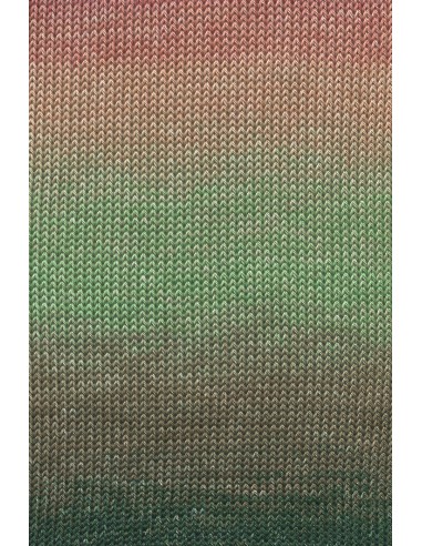 Alle kleuren quatro dégradé| Het Lemsterwolhus heeft ze op voorraad