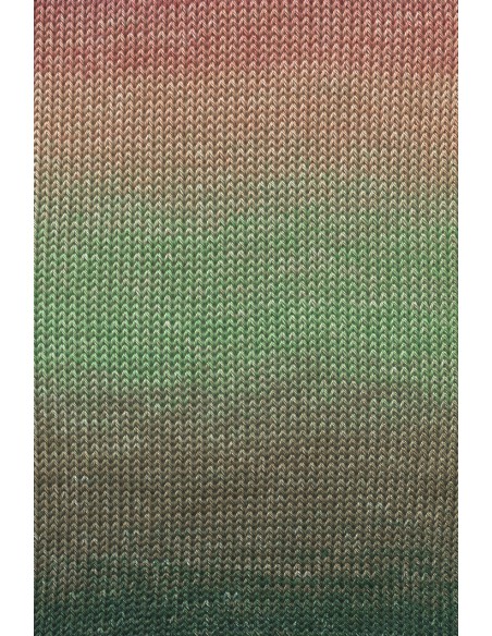 Alle kleuren quatro dégradé| Het Lemsterwolhus heeft ze op voorraad