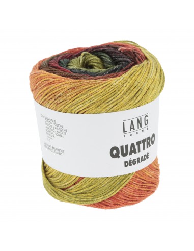 Alle kleuren quatro dégradé| Het Lemsterwolhus heeft ze op voorraad