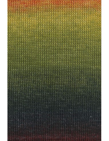 Alle kleuren quatro dégradé| Het Lemsterwolhus heeft ze op voorraad