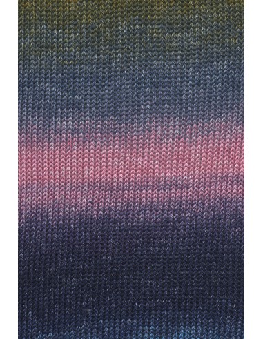 Alle kleuren quatro dégradé| Het Lemsterwolhus heeft ze op voorraad