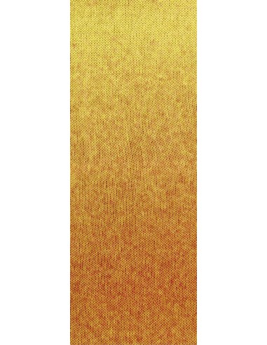 Lana grossa degrade, zachte draad| Lemsterwolhus heeft ze op voorraad