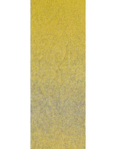 Lana grossa degrade, zachte draad| Lemsterwolhus heeft ze op voorraad